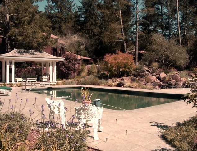 Image of a medium-sized, elegant backyard pool house made of concrete.