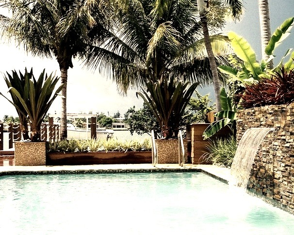 Natural Pool (Miami)
