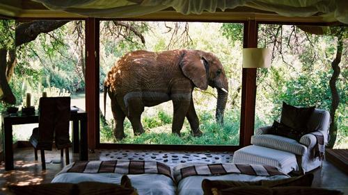Room With A View, South Africa